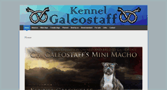Desktop Screenshot of galeostaff.com